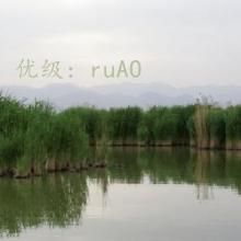 ϣ